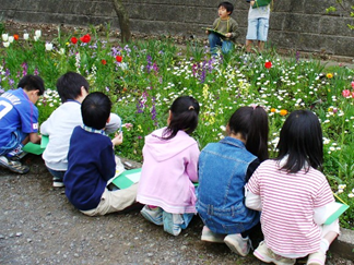 学校（がっこう）の花壇（かだん）の画像