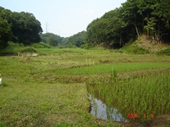 小野路町奈良ばい谷戸