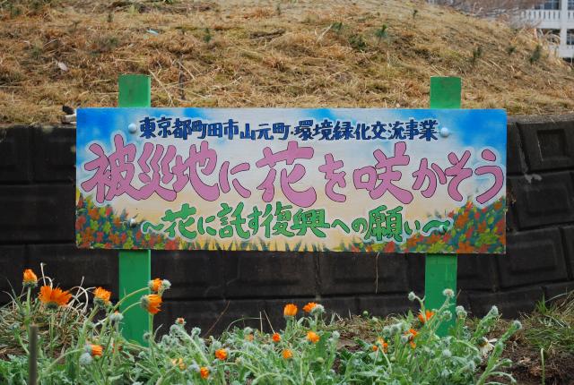 被災地に花を咲かそう～花に託す復興への思い～