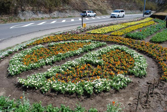 完成した山元町章入り花壇