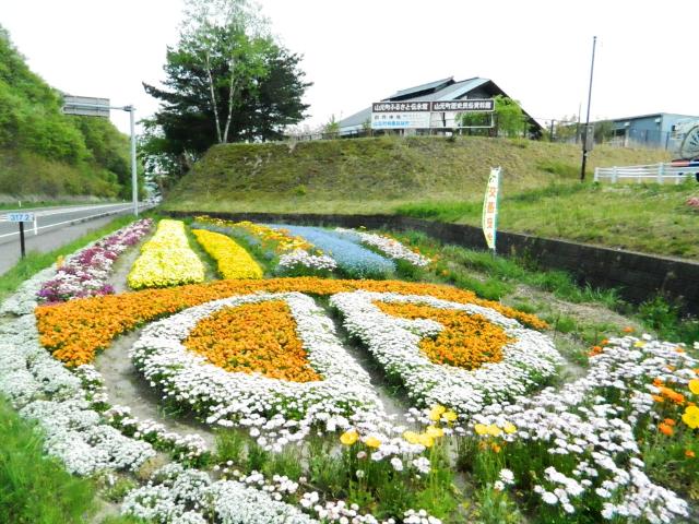 生育した山元町役場左の花壇の様子