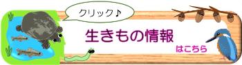 町田市の生物多様性のページ
