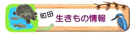 町田生きもの情報