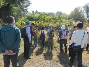 公園散策の様子