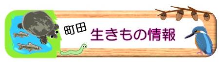 町田生きもの情報ロゴ