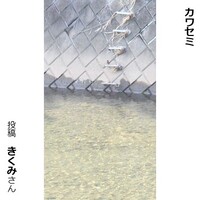 カワセミ