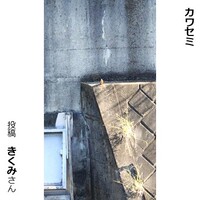 カワセミ