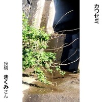 カワセミ