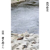 カワセミ