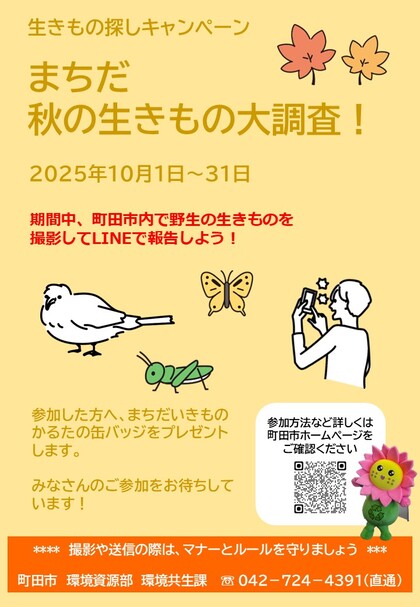生きもの探しキャンペーンのチラシ