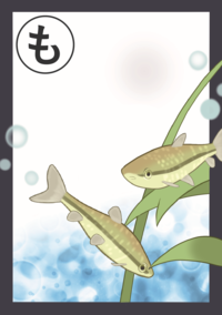 まちだいきものかるた「も」絵札