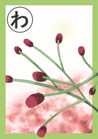 まちだいきものかるた「わ」絵札