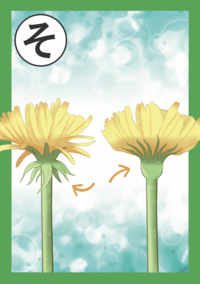 まちだいきものかるた「そ」絵札