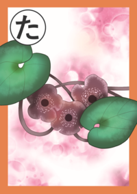 まちだいきものかるた「た」絵札