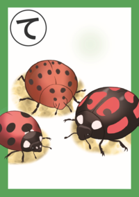 まちだいきものかるた「て」絵札