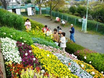 春の花壇コンクール審査風景の画像