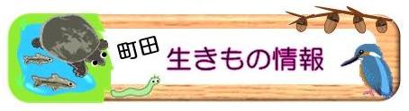 町田生きもの情報ヘッダー