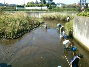 鶴見川源流ネットワークの調整池内での清掃活動の様子です