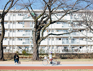 団地の風景の写真