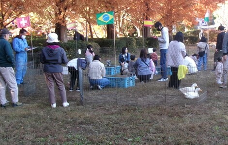 ふれあい動物コーナー