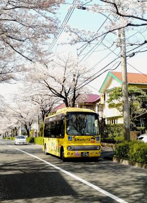 コミュニティバス「玉ちゃんバス」