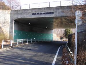 津島下トンネル入口の画像
