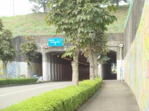 薬師隧道東側入口の画像