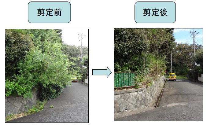 剪定写真