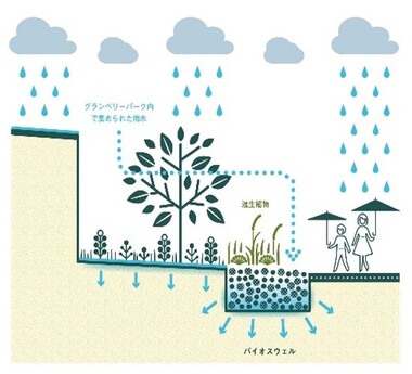 バイオスウェル、雨のみちの画像