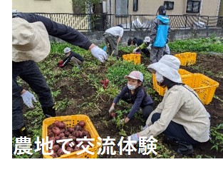 農地で交流体験の画像