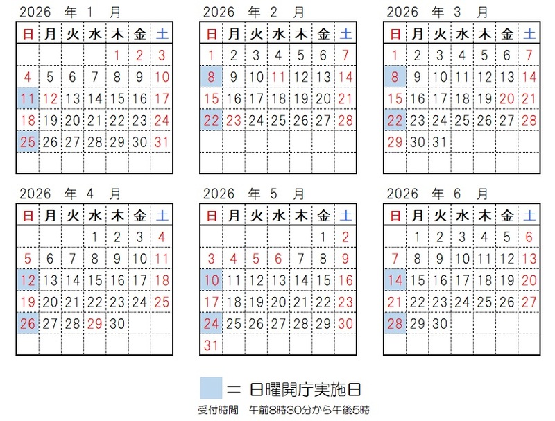 開庁日、2026年1月11日、1月25日、2月8日、2月22日、3月8日、3月22日、4月12日、4月26日、5月10日、5月24日、6月14日、6月28日