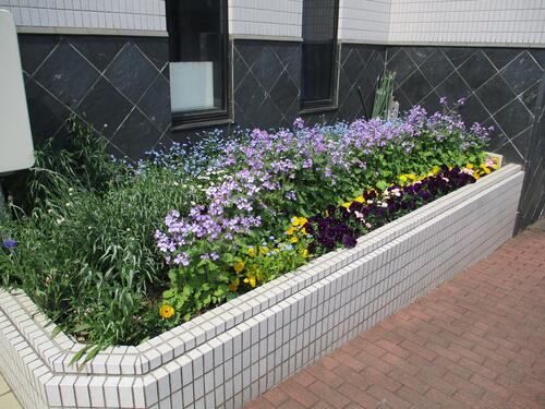 小山市民センターの花壇