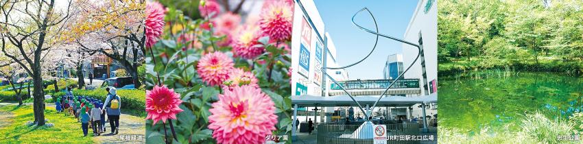 尾根緑道、ダリア園、町田駅前、忠生公園