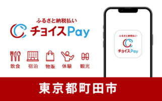 町田市チョイスPay