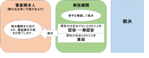 開示決定等に係る審査請求の流れ