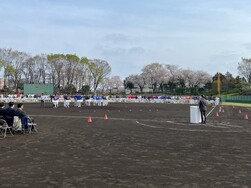 町田市民春季軟式野球大会開会式の写真