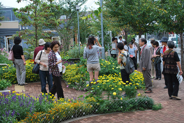 花まちツアーで花壇を観賞する参加者の画像