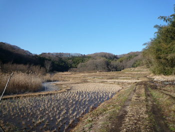 小野路町万松寺谷戸の写真