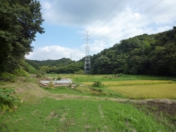 東谷戸の風景の写真