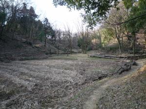 三輪緑地内の谷戸の写真