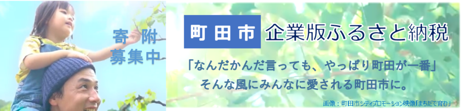 企業版ふるさと納税タイトル画像